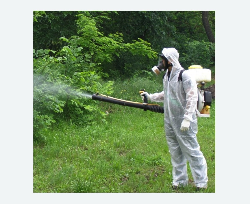 обработка территории от клещей в Макушино