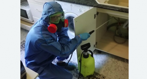 Уничтожение муравьев в квартире. Макушино