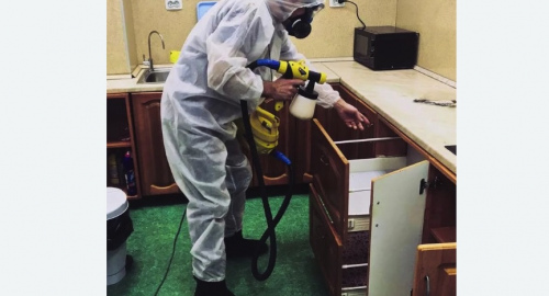 Дезинсекция квартиры. Макушино