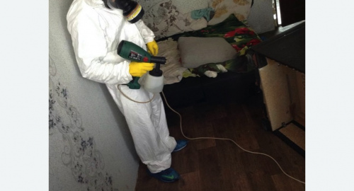 Дезинсекция помещения в Макушино