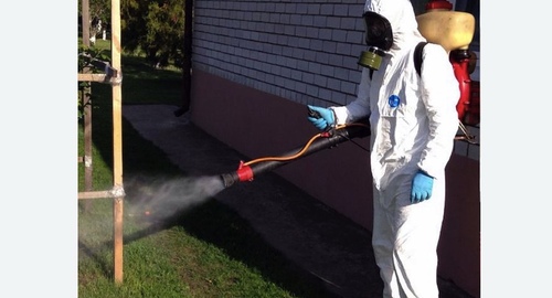 Уничтожение клещей на участке в Макушино