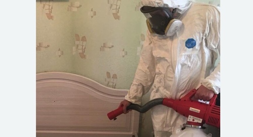 Уничтожение клещей в квартире. Макушино