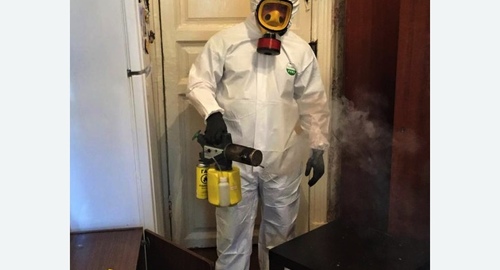 Дезинфекция от муравьев в квартире в Макушино