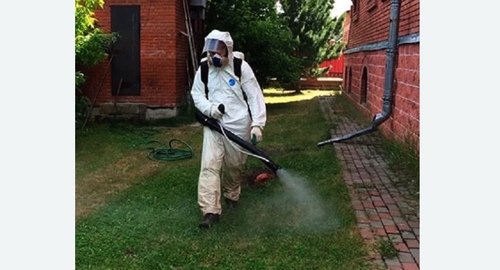 Обработка территории от клещей. Макушино