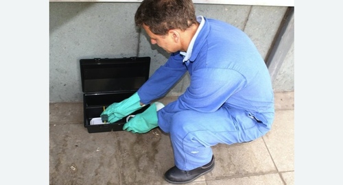 Уничтожение мышей. Макушино