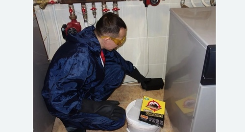 Дератизация крыс. Макушино