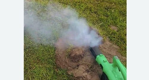 Обработка от кротов в Макушино