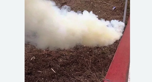 Уничтожение кротов на участке в Макушино