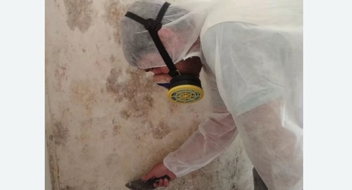Обработка стен от плесени в Макушино