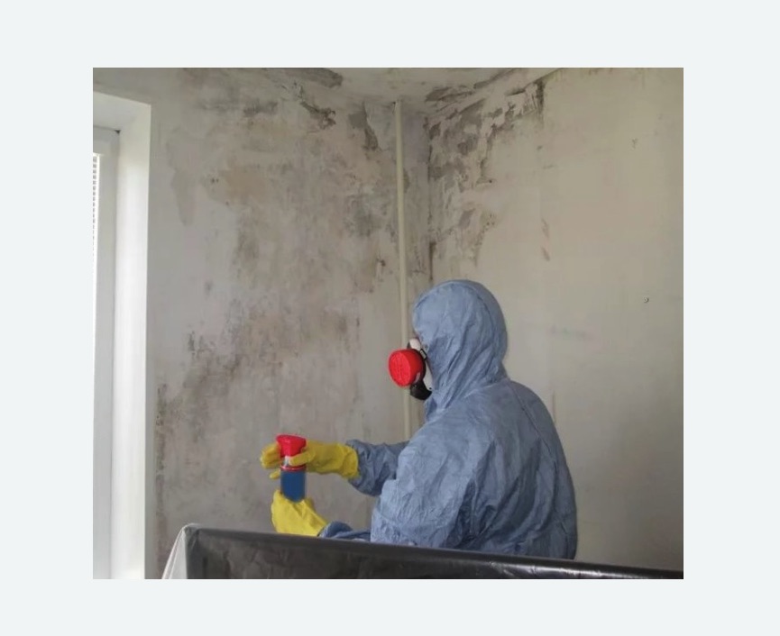 Удаление плесени в квартире в Макушино