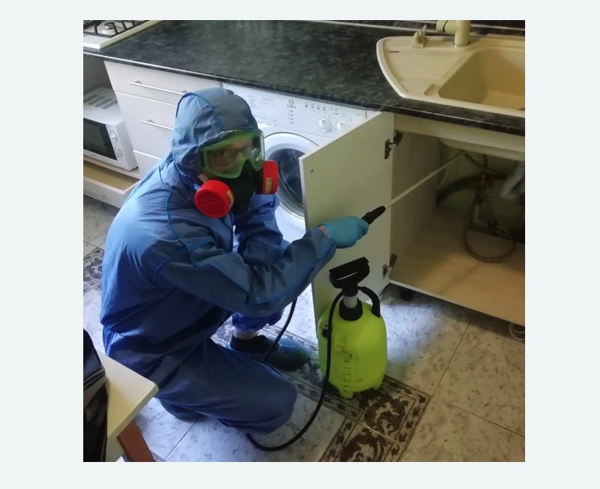 обработка от муравьев в квартире в Макушино