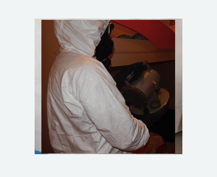 Дезинфекция от муравьев в Макушино