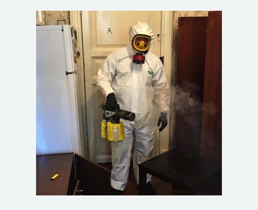 уничтожение муравьев в квартире в Макушино